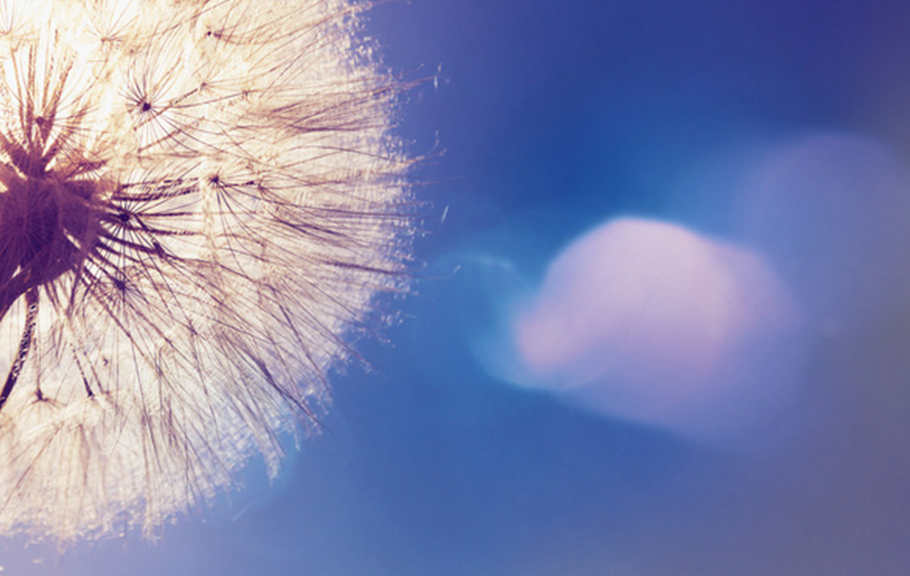 九游会J9·(中国区)官方网站-真人游戏第一品牌