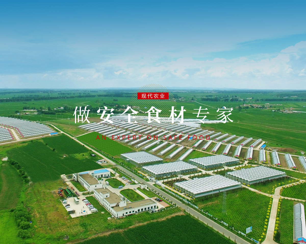 js555888金沙老品牌(中国)股份公司-Maigoo百科