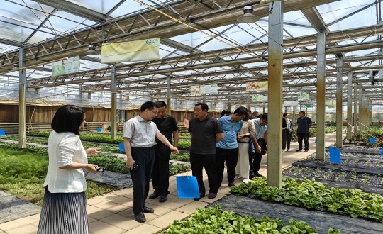 2024年6月27日，中国绿色食品发展中心有关辅导莅临农业总公司调查调研_副本.jpg