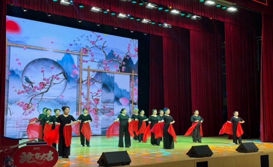 1.“苍生大舞台”文化实际项目首场演出现场_副本.jpg